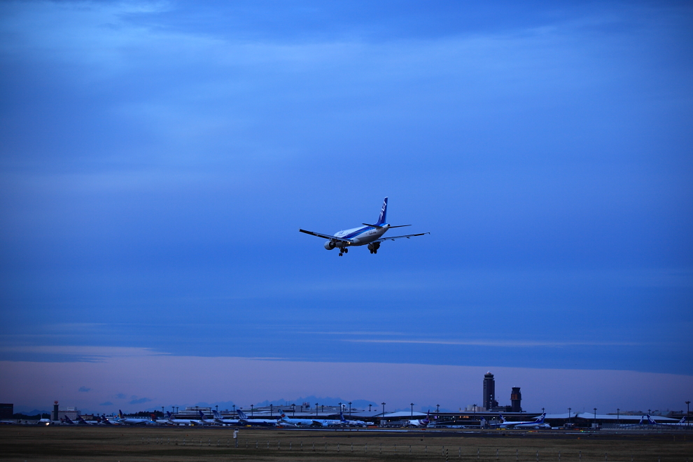 IMG_1585dpp990.JPG