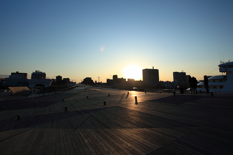 IMG_2963dpp990.JPG