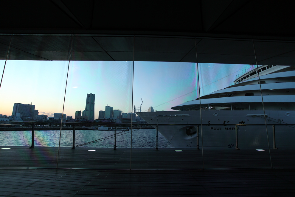 IMG_2970dpp990.JPG