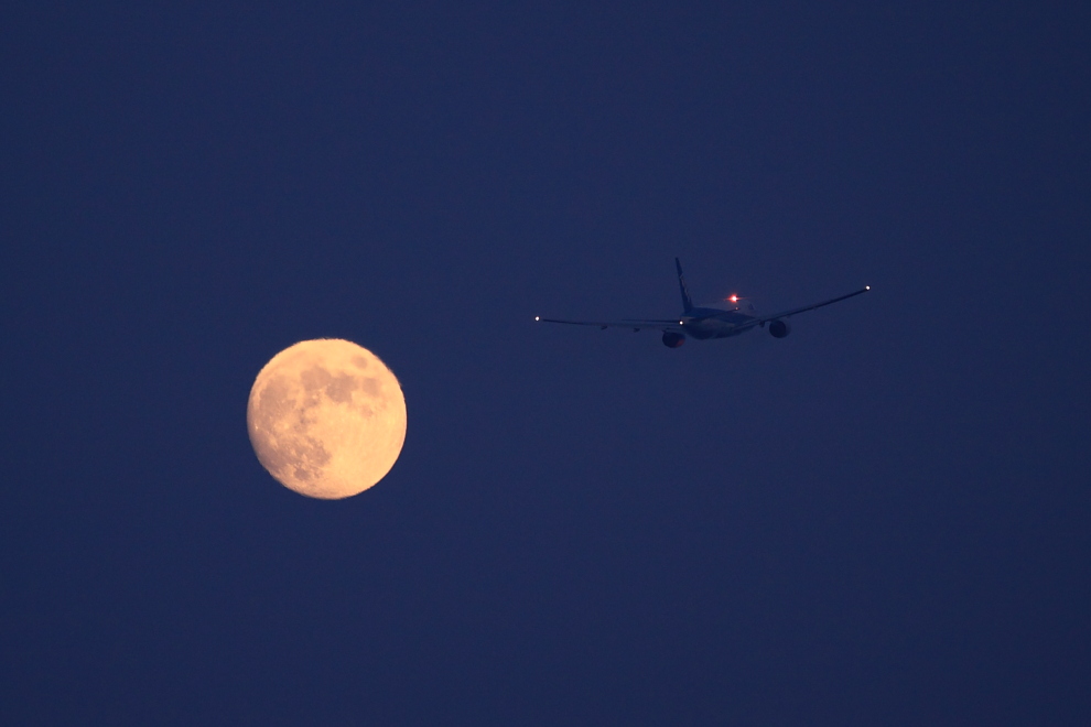 20110815_913682.jpg