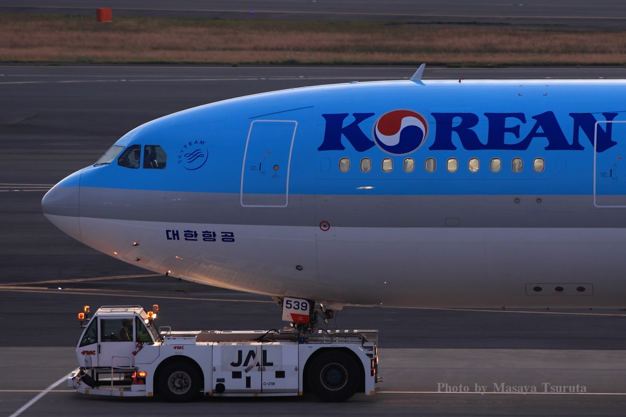 IMG_8783dpp_DxO.jpg