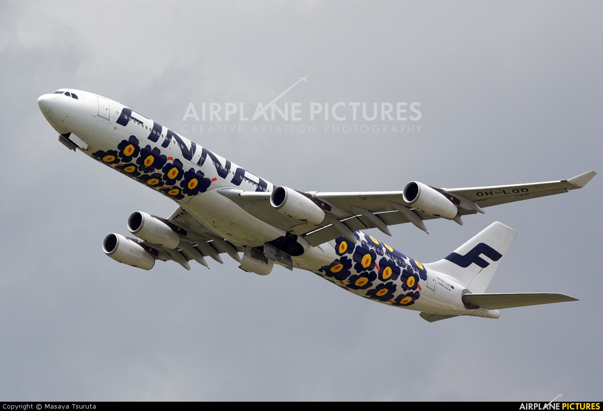 322601.jpg