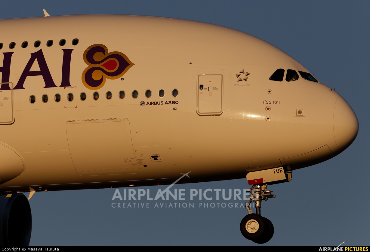 342001.jpg