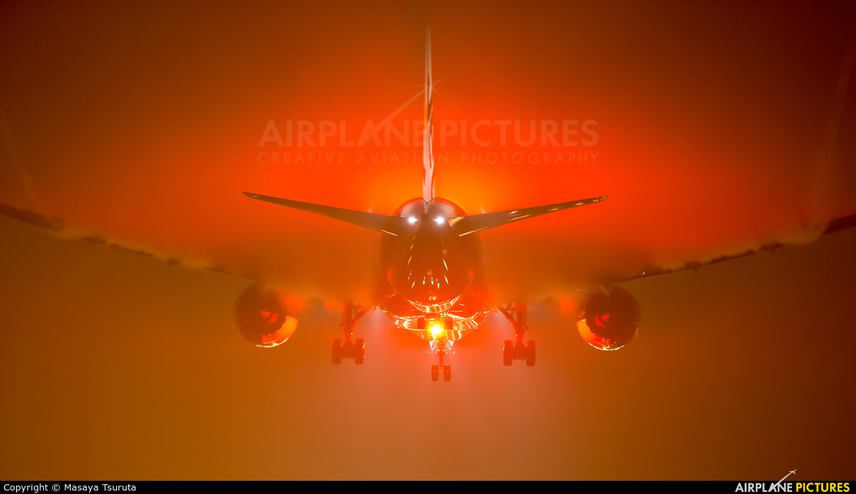 482502.jpg