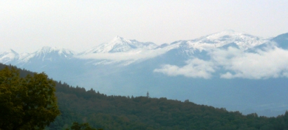 初冠雪
