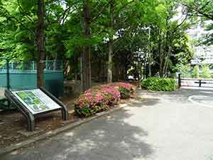 有明テニスの森公園ジョギングコース02