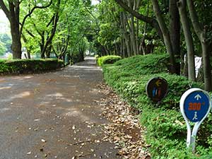 有明テニスの森公園ジョギングコース04