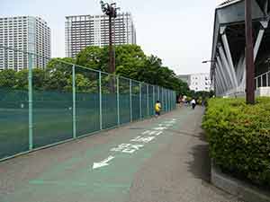 有明テニスの森公園ジョギングコース07