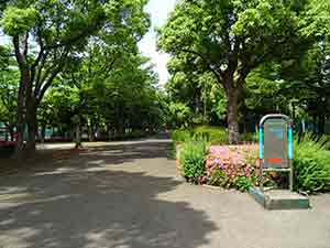 有明テニスの森公園ジョギングコース08