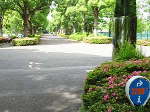 有明テニスの森公園ジョギングコース09
