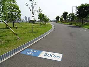 東京臨海広域防災公園ランニングコース04