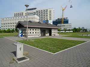 東京臨海広域防災公園ランニングコース05