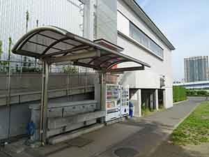 東京臨海広域防災公園ランニングコース07