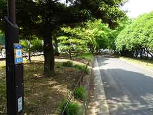 日比谷公園ランニングコース08