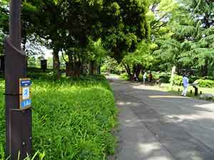 日比谷公園ランニングコース09