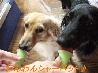 初めて