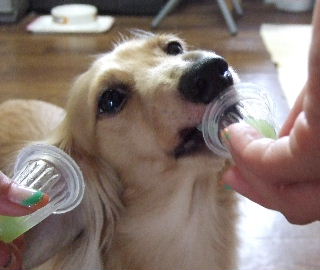 あんちょの分も