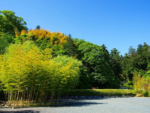 20150505-P5050876-3.jpg