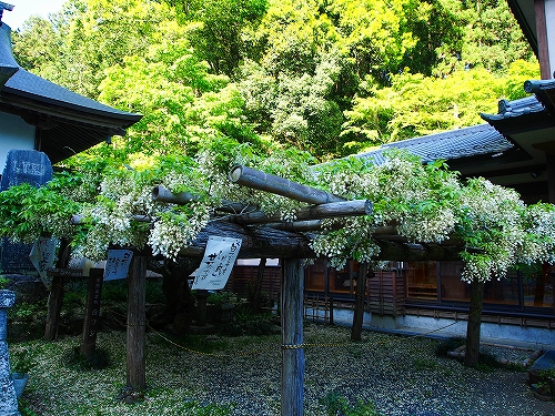 20150505-P5050889-3.jpg
