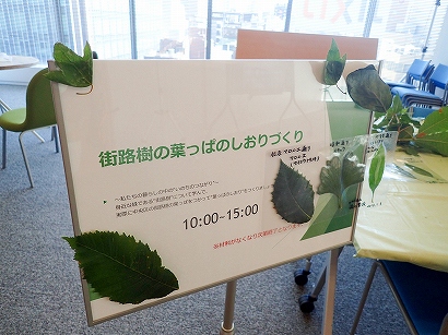 20151103-PB030291.jpg