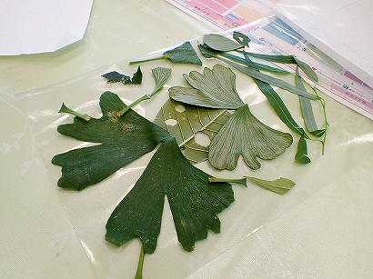 20151103-PB030303.jpg