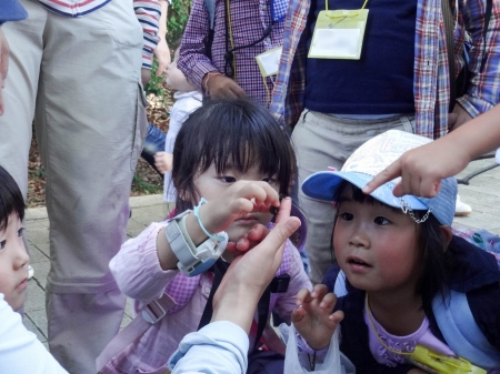 20150715-DSC00435v.2.jpg