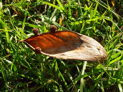20171007-PA073592.jpg