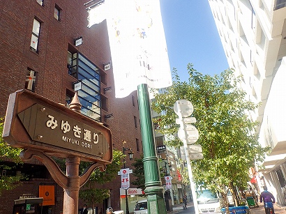 5-6ヒトツバタゴ-PA090593.jpg