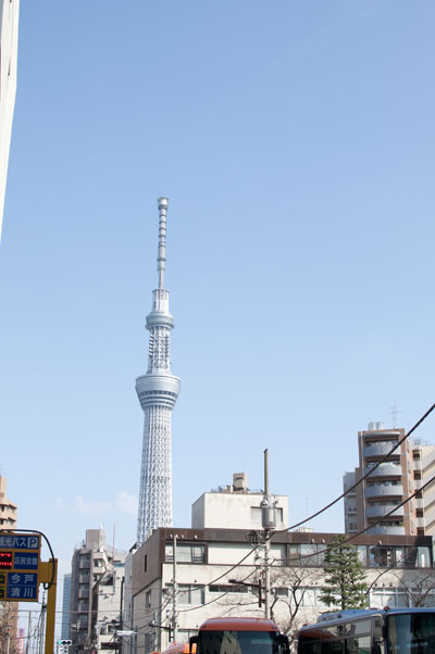 DSC_4998.JPG
