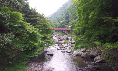 20150616_132706.jpg