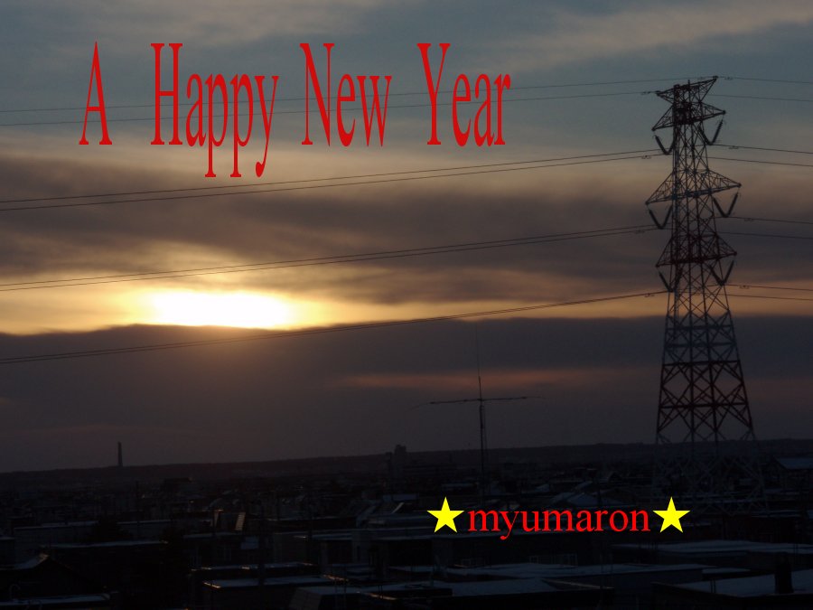 2011¡¡½éÆü¤Î½Ð 2