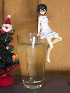 クリスマスはワイン片手に神姫とキャッキャウフフ