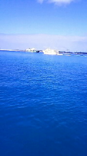 2009020415030000001.jpg