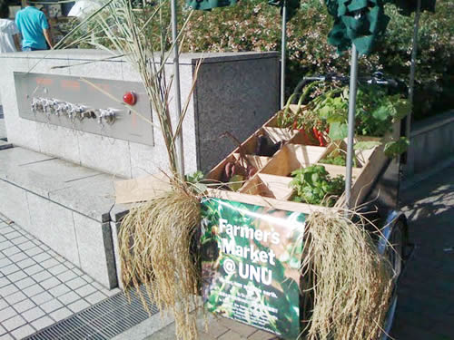 おなじみの三輪自転車に作物ディスプレイでお出迎え