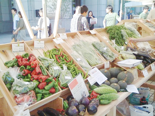 彩り豊かな野菜が陽射しで輝いて見えます!