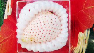 白いちご様