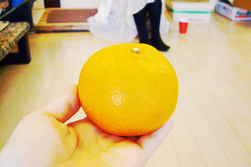 Welcome Fruitsは”せとか”。ジューシーで甘くて食べ応えたっぷり!