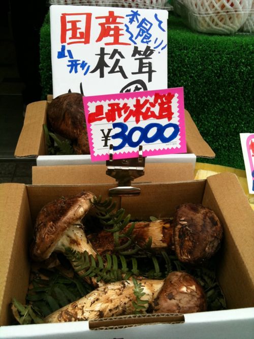 山形産松茸が200gで3000円!
