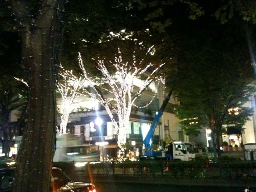 セミナーを終えて、表参道を歩くとなんとイルミネーションが試験で点灯されてました