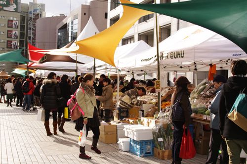Farmer's Market @ 国連大学前
