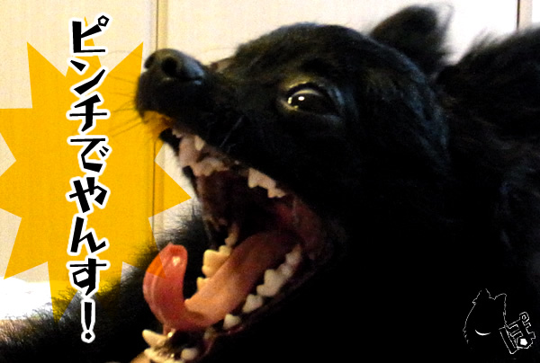 ピーーーンチ!!