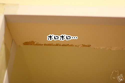 0201_7.jpg