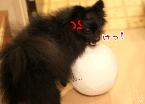 0306_1.jpg