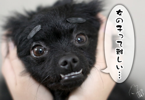 0403_14.png.jpg