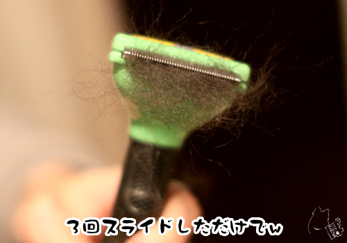 0404_3.jpg