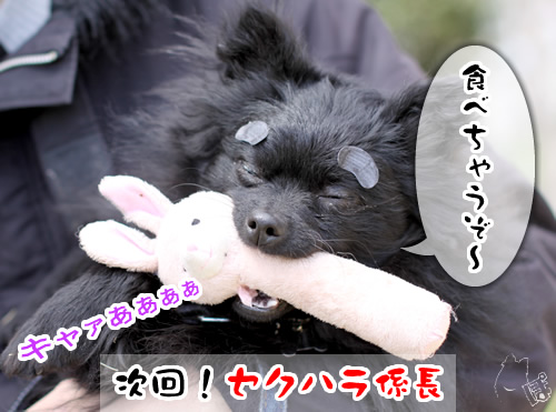 0409_11.jpg