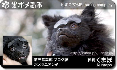 card_001kumapo.jpg