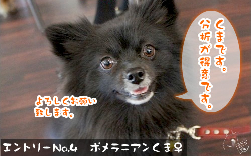 0501_3.jpg