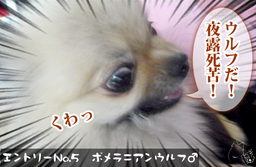 0501_5.jpg