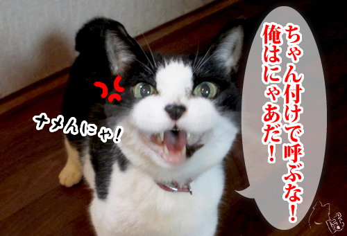 0503_9.jpg